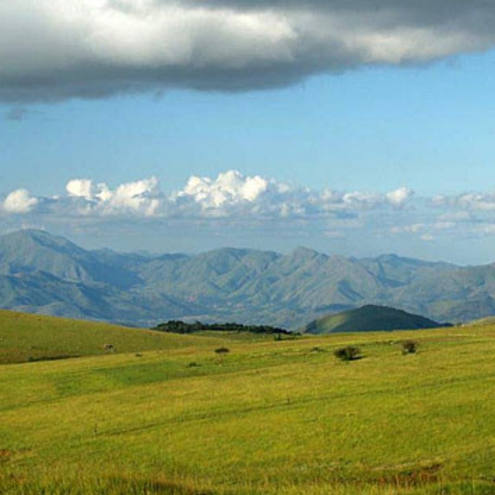 Hellooooo world! Buy my stuff please.